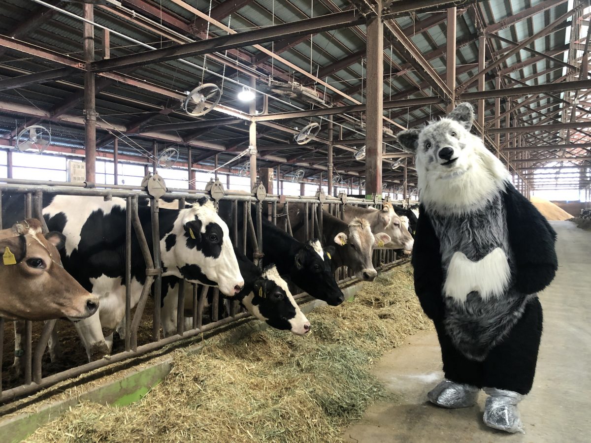 【富山県黒部市　くろべ牧場まきばの風にて】牧場に遊びに行ってきたちゃ！